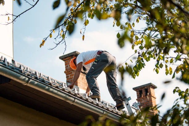 Best Emergency Roof Repair  in Bristol, VA