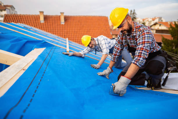 Best Storm Damage Roof Repair  in Bristol, VA