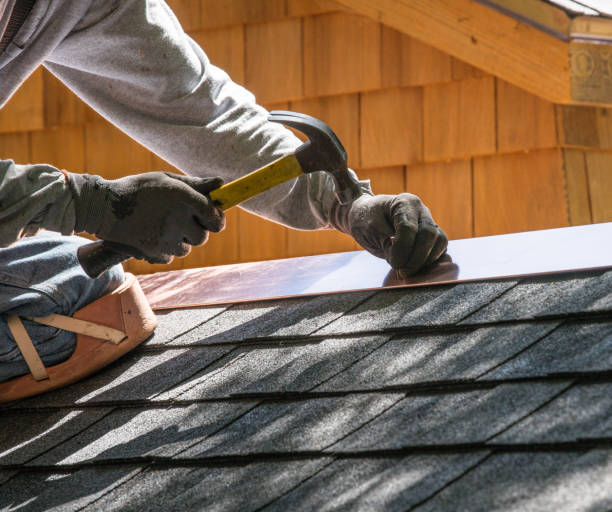 Best Roof Gutter Cleaning  in Bristol, VA